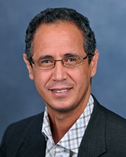 Image of Professor Majid Hannoum
